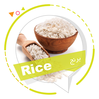 RICE (برنج)