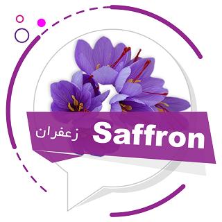 Saffron (زعفران)